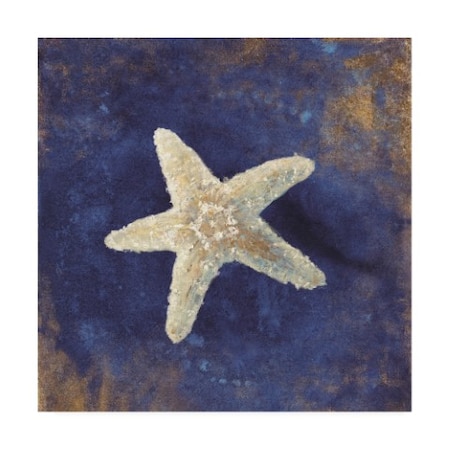 Danhui Nai 'Treasures From The Sea Indigo Iv' Canvas Art,24x24